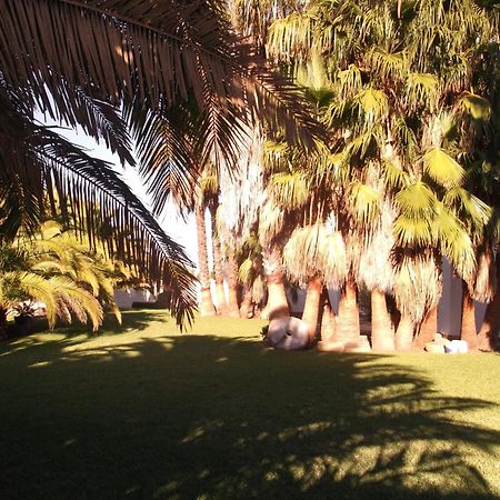El Olivar de Roche Viejo Conil De La Frontera Buitenkant foto