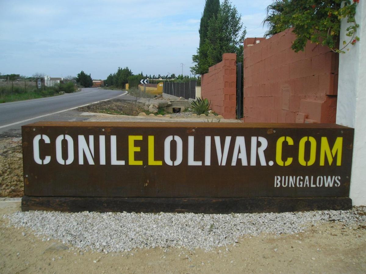 El Olivar de Roche Viejo Conil De La Frontera Buitenkant foto