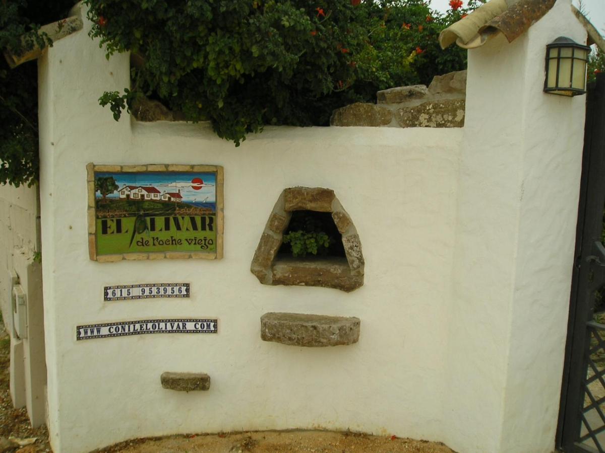 El Olivar de Roche Viejo Conil De La Frontera Buitenkant foto