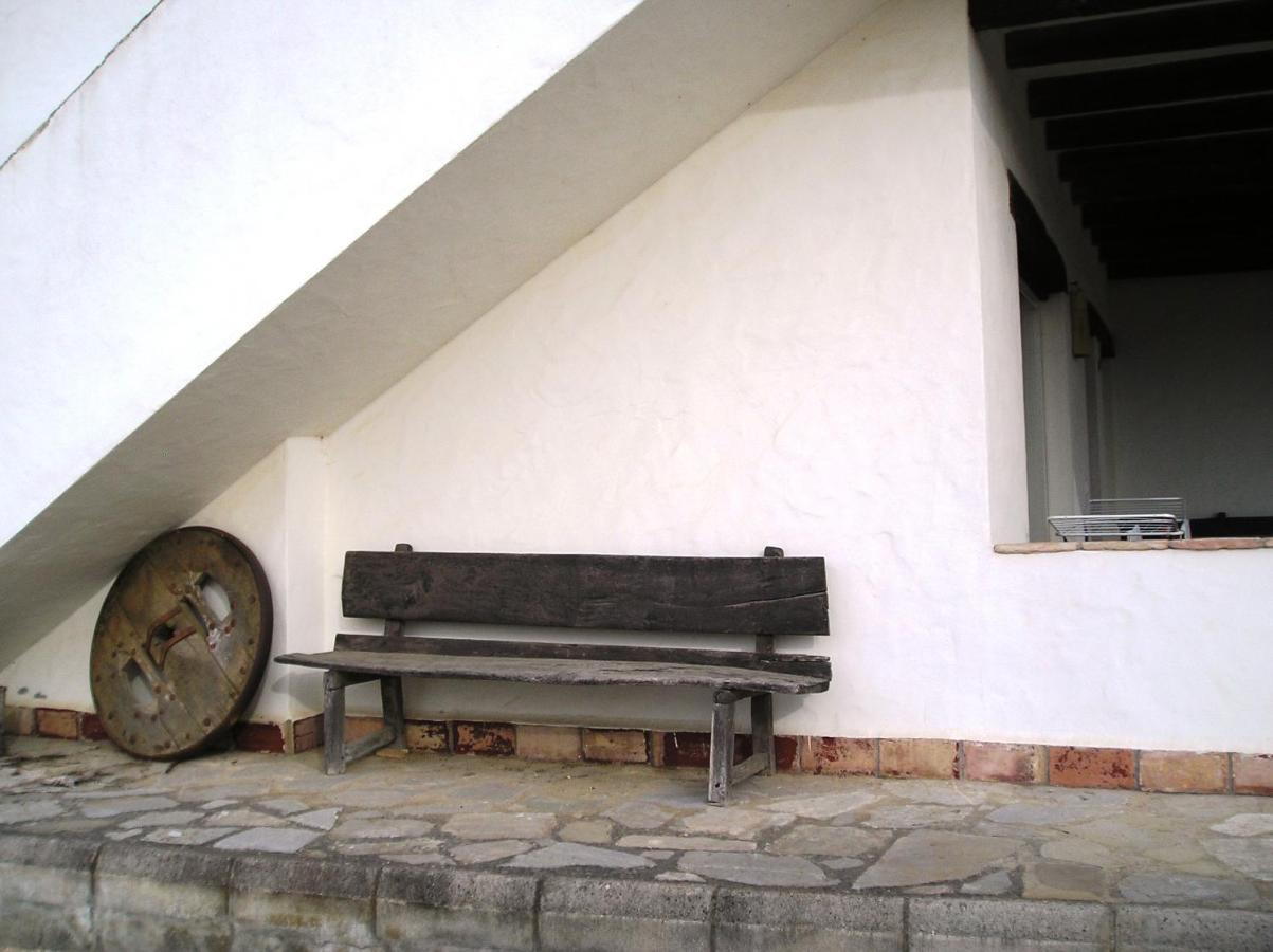 El Olivar de Roche Viejo Conil De La Frontera Buitenkant foto