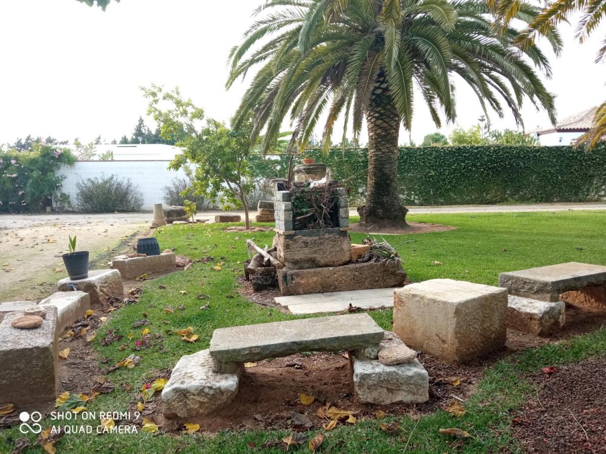 El Olivar de Roche Viejo Conil De La Frontera Buitenkant foto