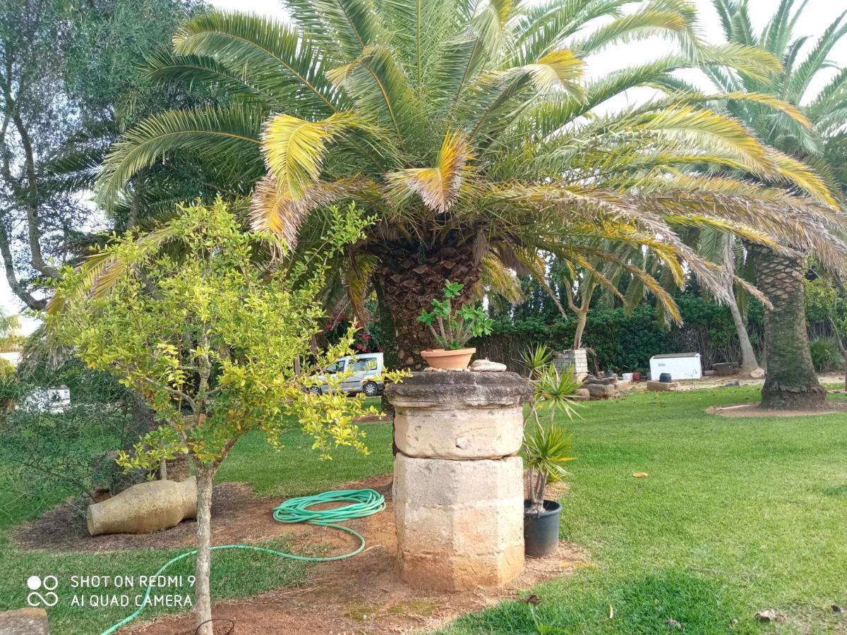 El Olivar de Roche Viejo Conil De La Frontera Buitenkant foto