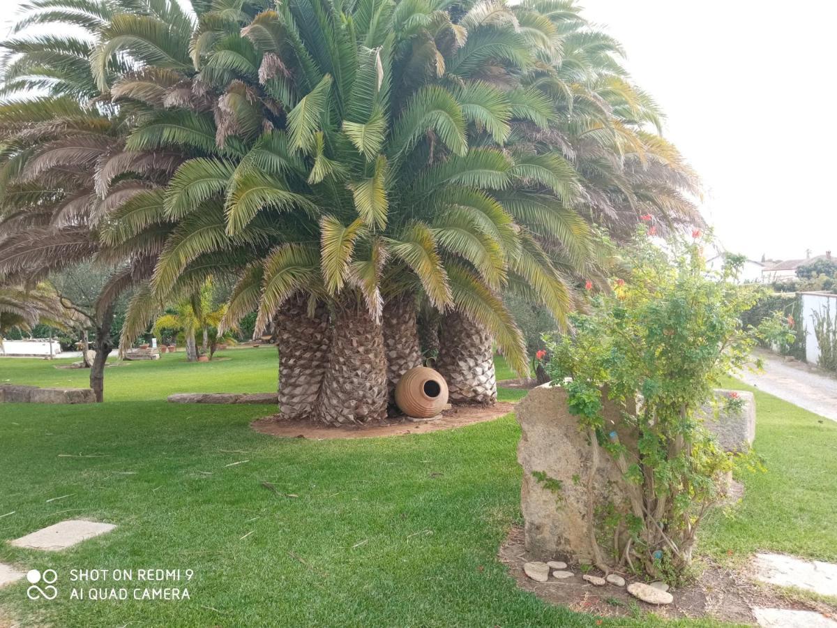 El Olivar de Roche Viejo Conil De La Frontera Buitenkant foto