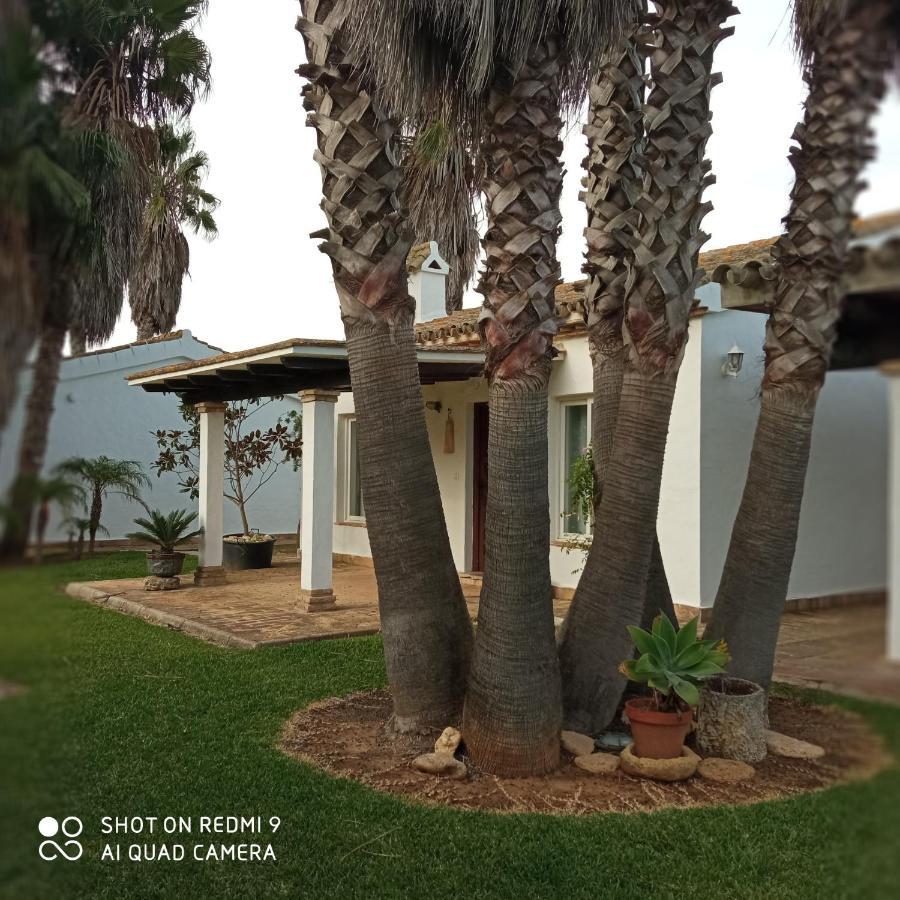 El Olivar de Roche Viejo Conil De La Frontera Buitenkant foto