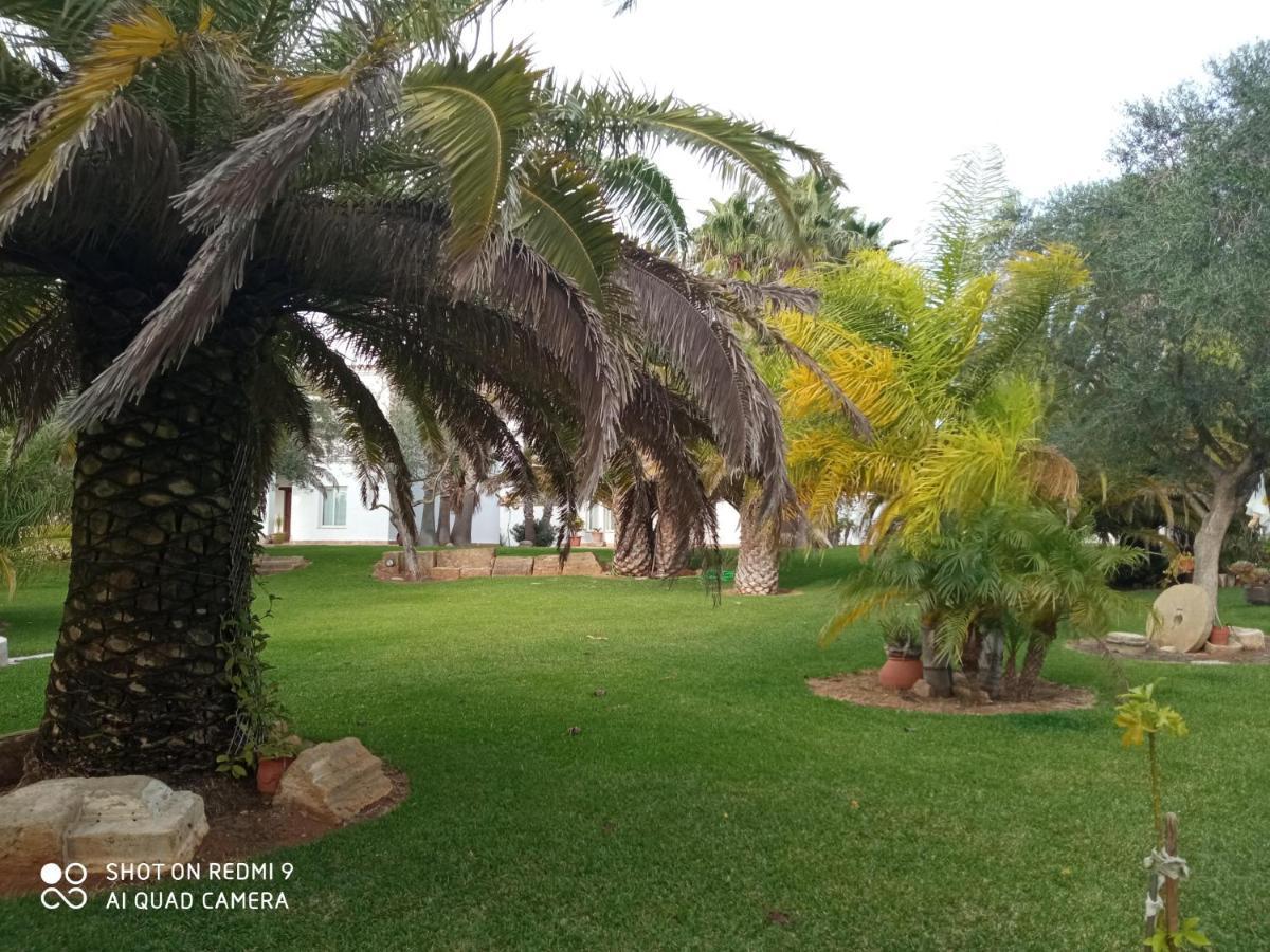 El Olivar de Roche Viejo Conil De La Frontera Buitenkant foto