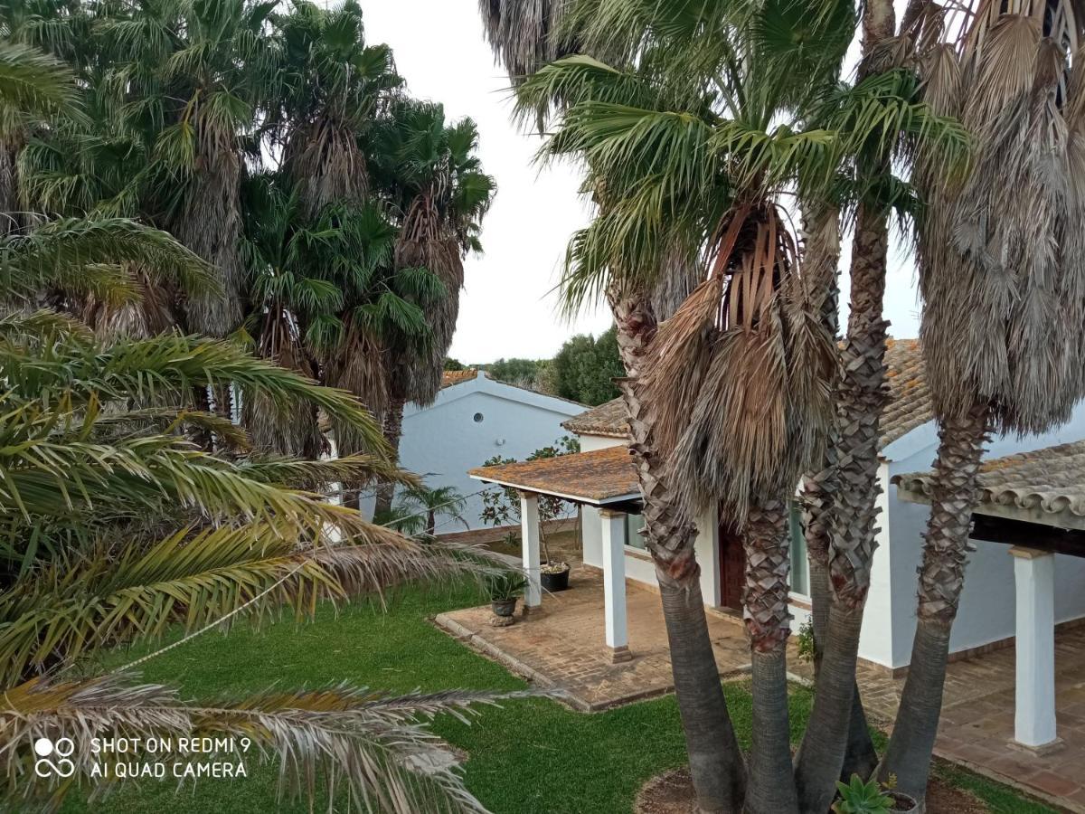 El Olivar de Roche Viejo Conil De La Frontera Buitenkant foto