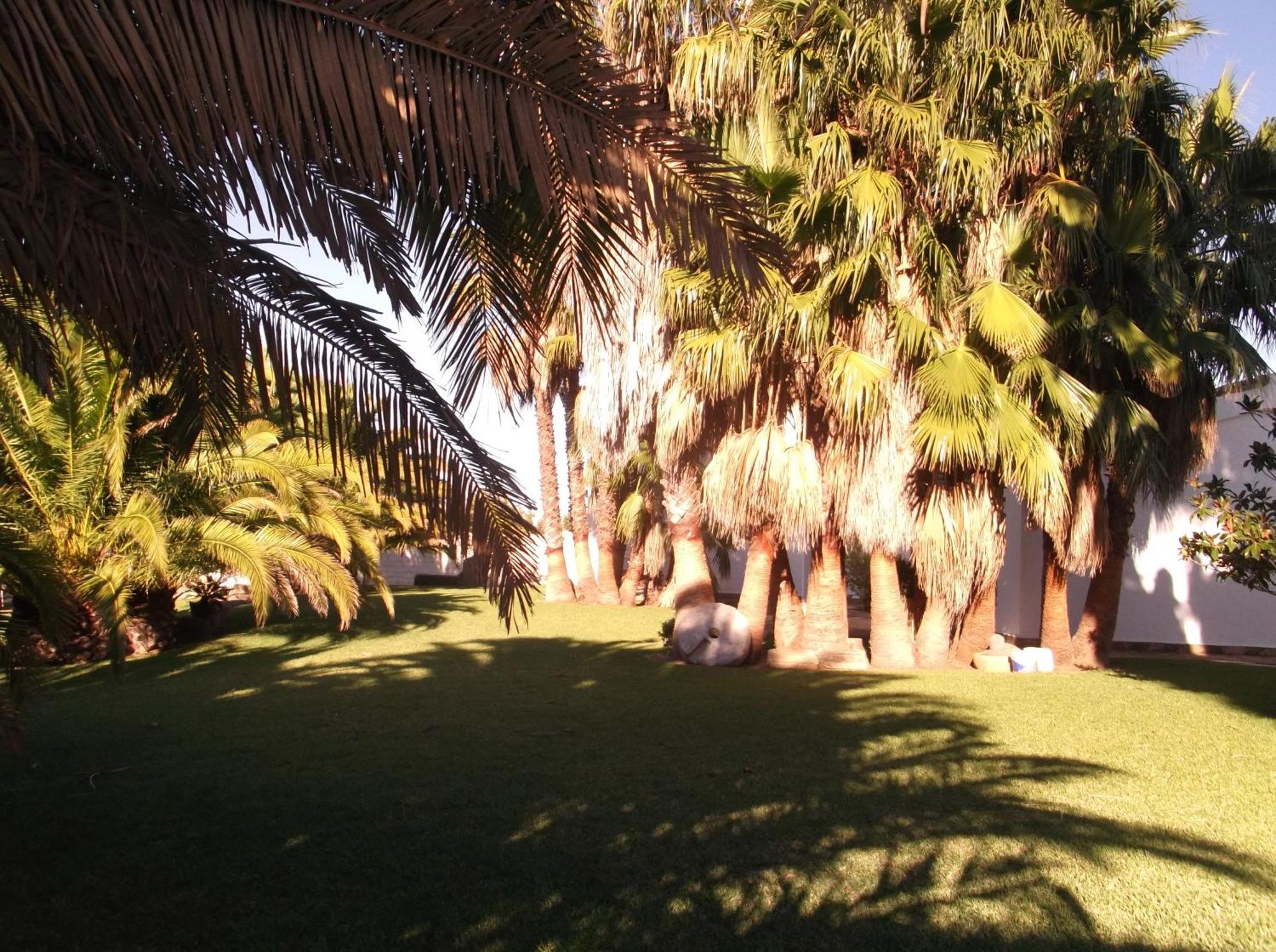 El Olivar de Roche Viejo Conil De La Frontera Buitenkant foto