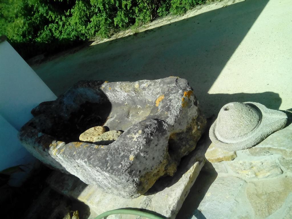 El Olivar de Roche Viejo Conil De La Frontera Buitenkant foto
