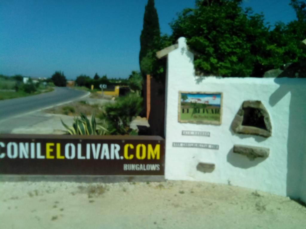 El Olivar de Roche Viejo Conil De La Frontera Buitenkant foto