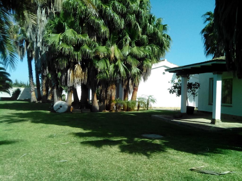 El Olivar de Roche Viejo Conil De La Frontera Buitenkant foto