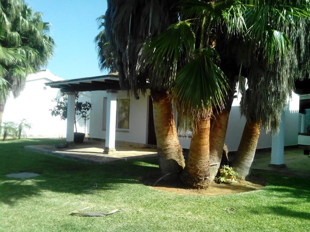 El Olivar de Roche Viejo Conil De La Frontera Buitenkant foto