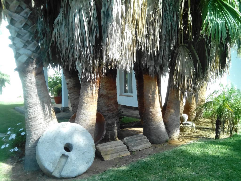 El Olivar de Roche Viejo Conil De La Frontera Buitenkant foto