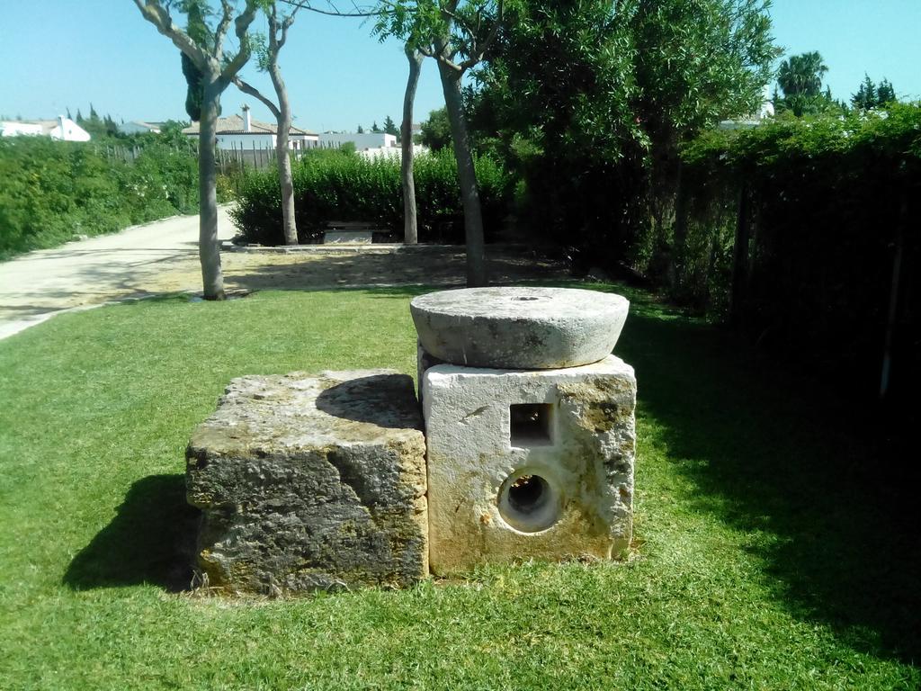 El Olivar de Roche Viejo Conil De La Frontera Buitenkant foto