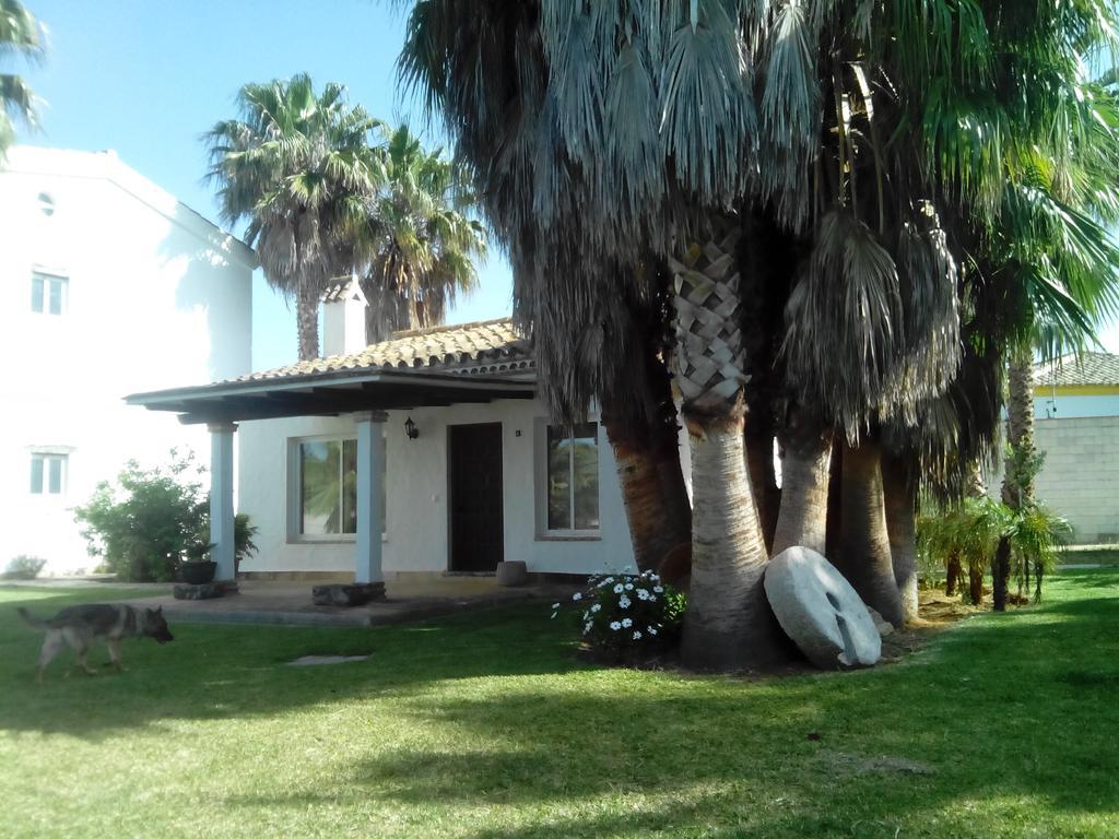 El Olivar de Roche Viejo Conil De La Frontera Buitenkant foto