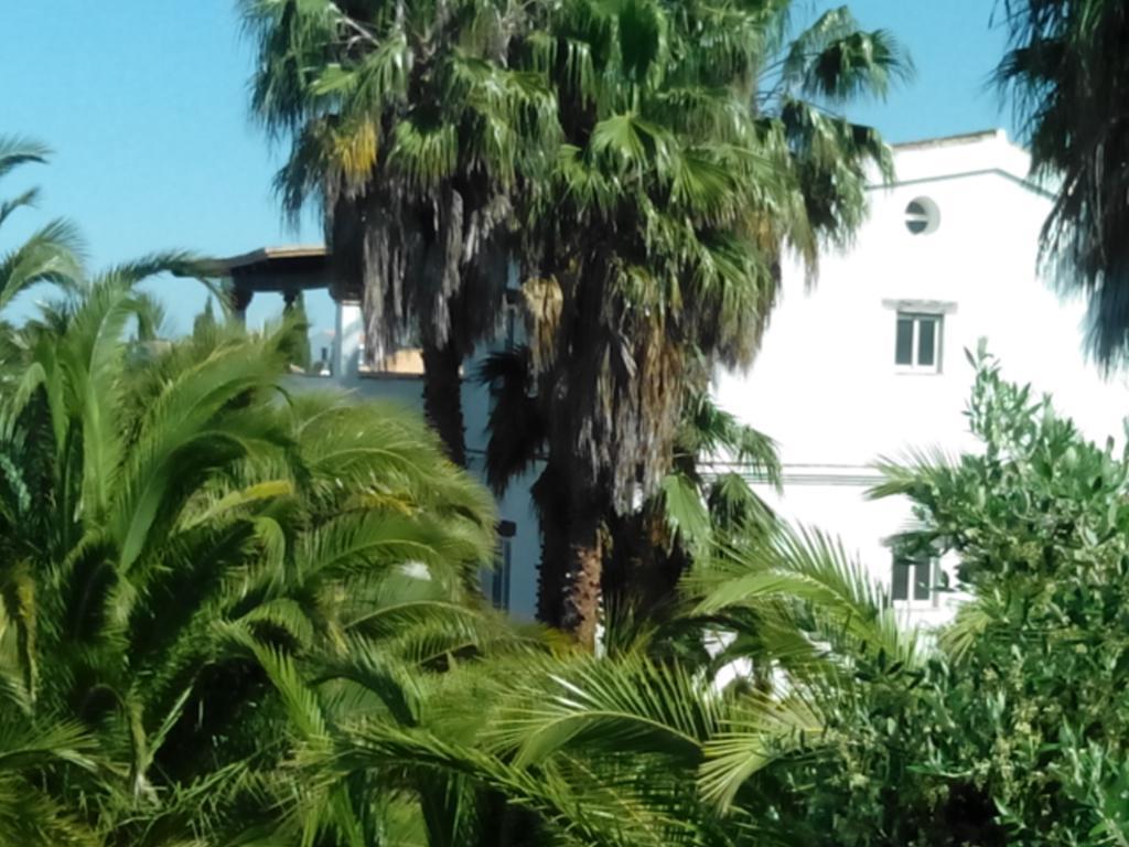 El Olivar de Roche Viejo Conil De La Frontera Buitenkant foto