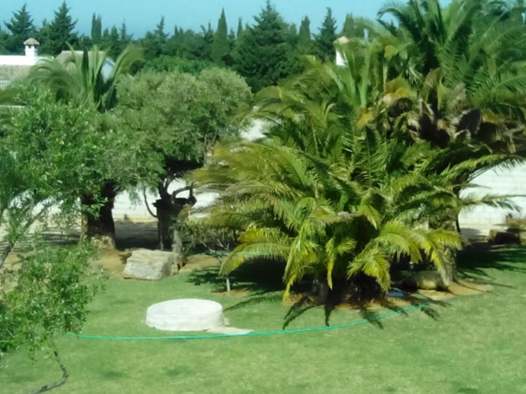 El Olivar de Roche Viejo Conil De La Frontera Buitenkant foto