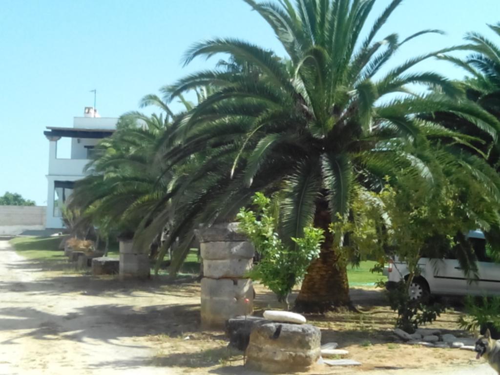 El Olivar de Roche Viejo Conil De La Frontera Buitenkant foto
