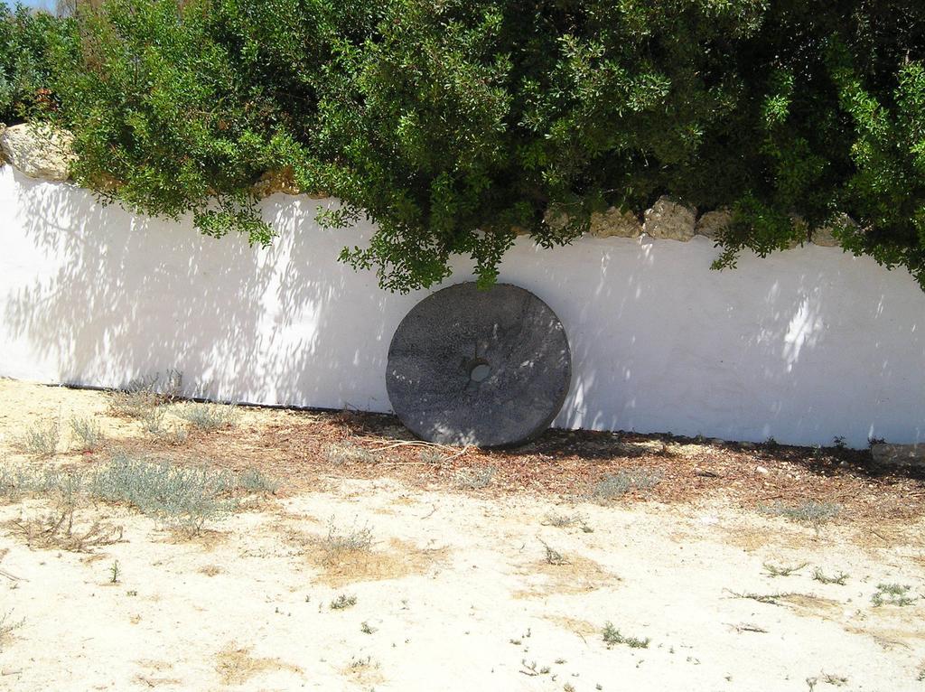 El Olivar de Roche Viejo Conil De La Frontera Buitenkant foto
