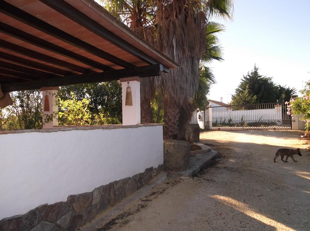 El Olivar de Roche Viejo Conil De La Frontera Buitenkant foto