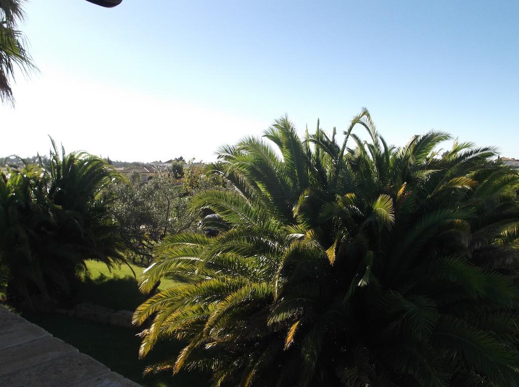 El Olivar de Roche Viejo Conil De La Frontera Buitenkant foto