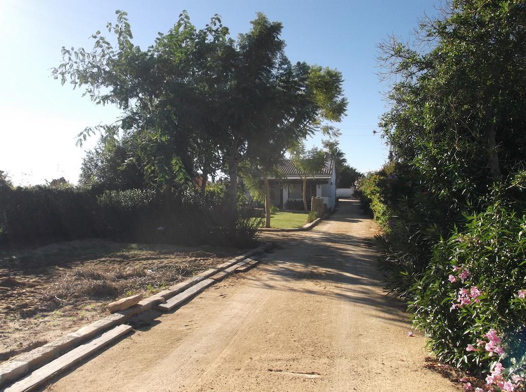 El Olivar de Roche Viejo Conil De La Frontera Buitenkant foto