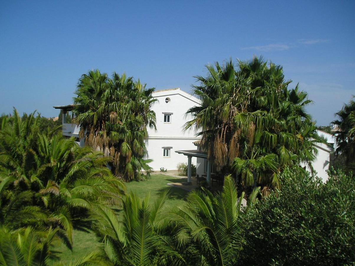El Olivar de Roche Viejo Conil De La Frontera Buitenkant foto